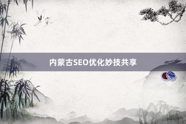 内蒙古SEO优化妙技共享