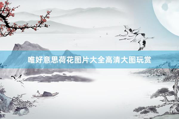 唯好意思荷花图片大全高清大图玩赏